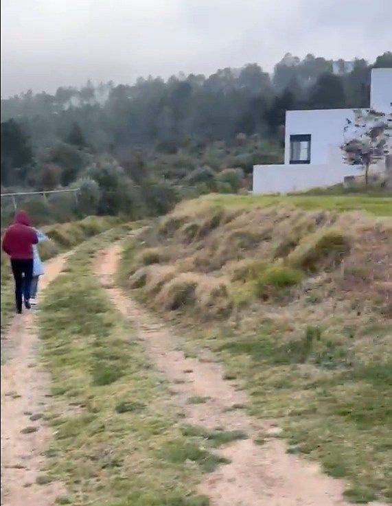 Terreno en Bosques del Mineral, Mineral de la Reforma, foto 6 de 7
