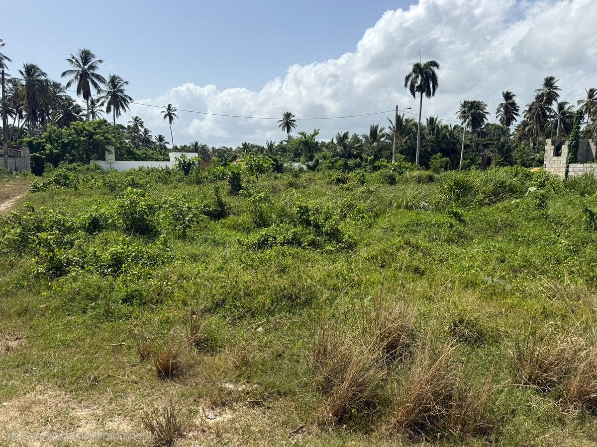VENTA DE SOLARES PROYECTO LA UNION, NAGUA, foto 1 de 9