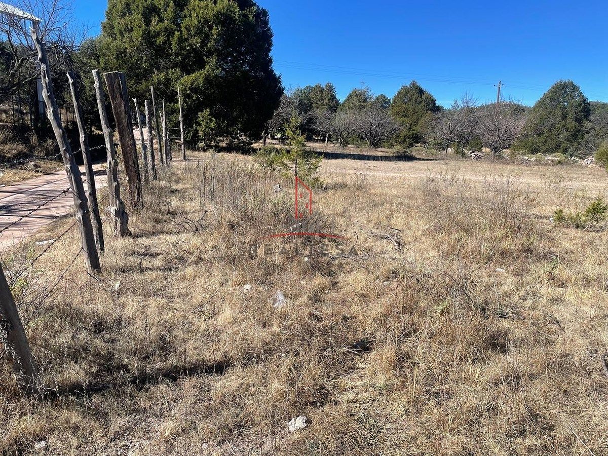 Otro en Arepunapuchi, Urique, foto 3 de 14