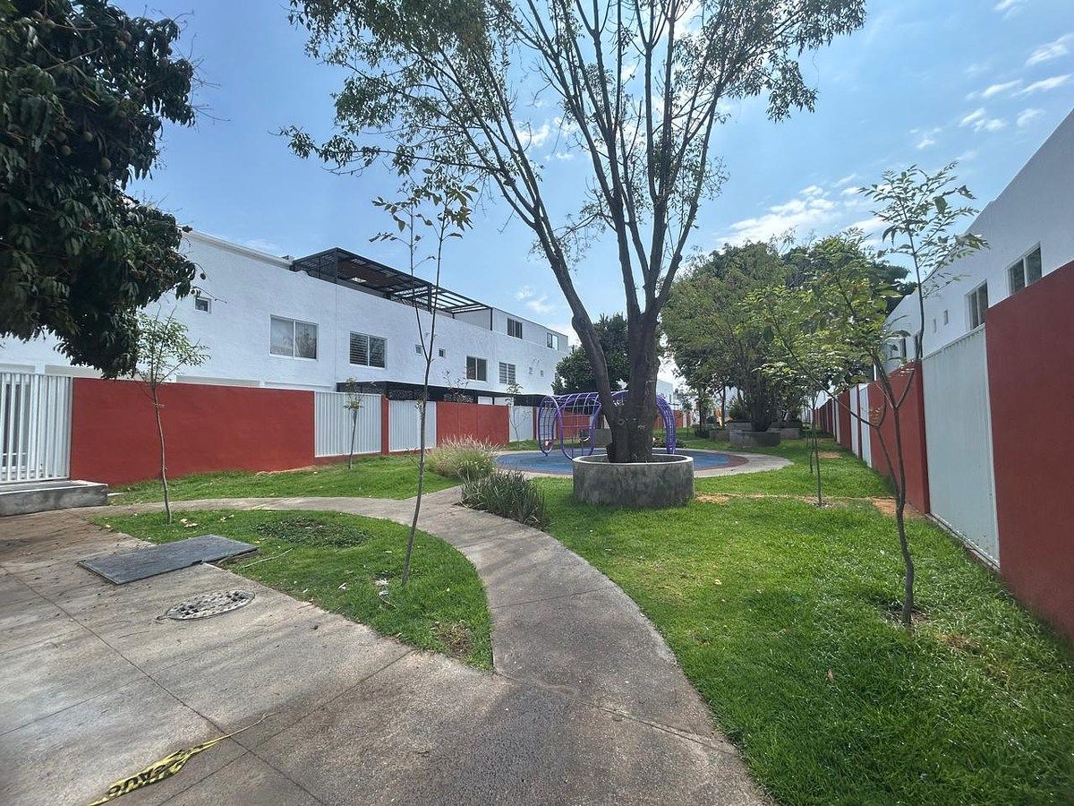 25 de 29