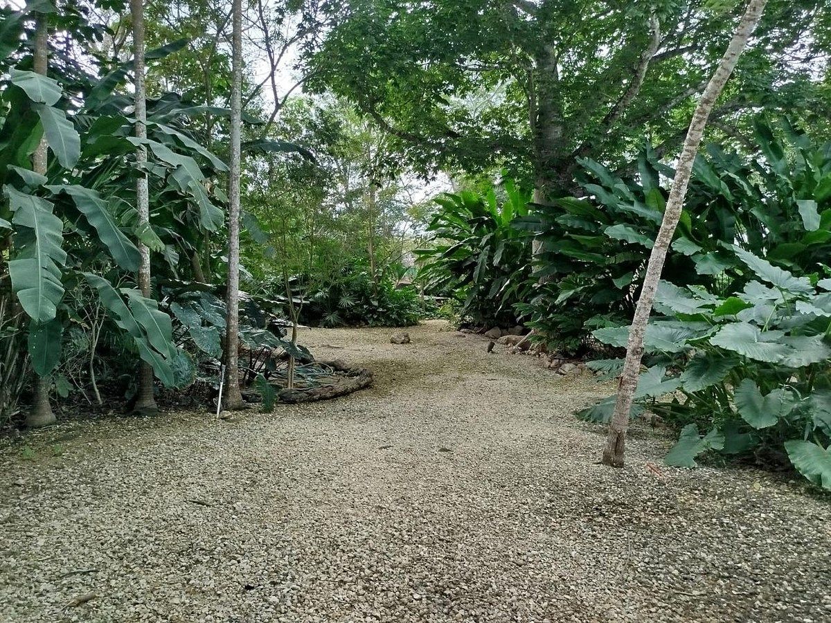 El mejor terreno en Yucatán Country Club en Venta - 2,000m2 - foto 5