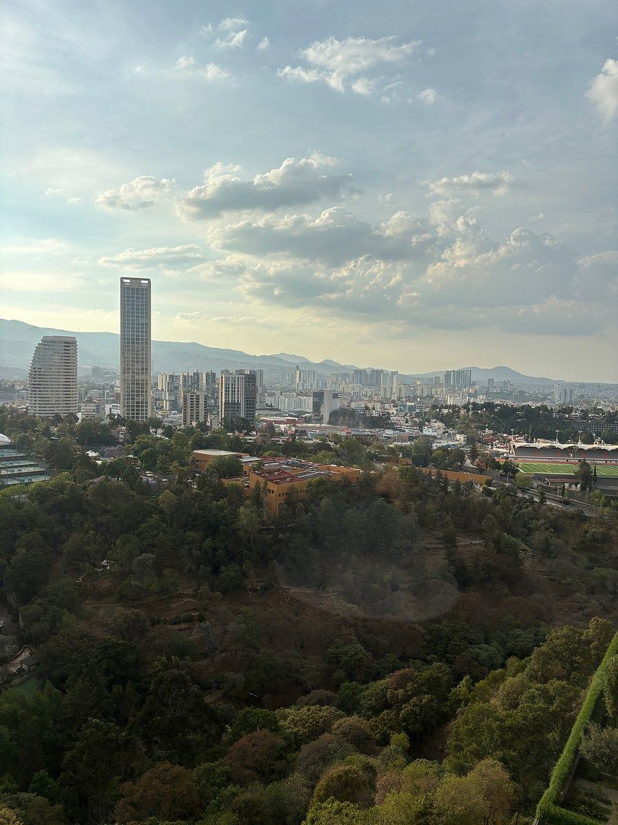 4 de 37: La vista del comedor