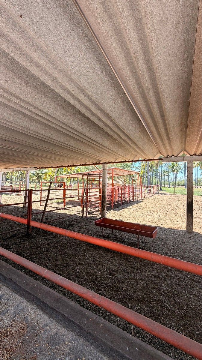 Terreno en Camichines 2, Coquimatlán, foto 5 de 6