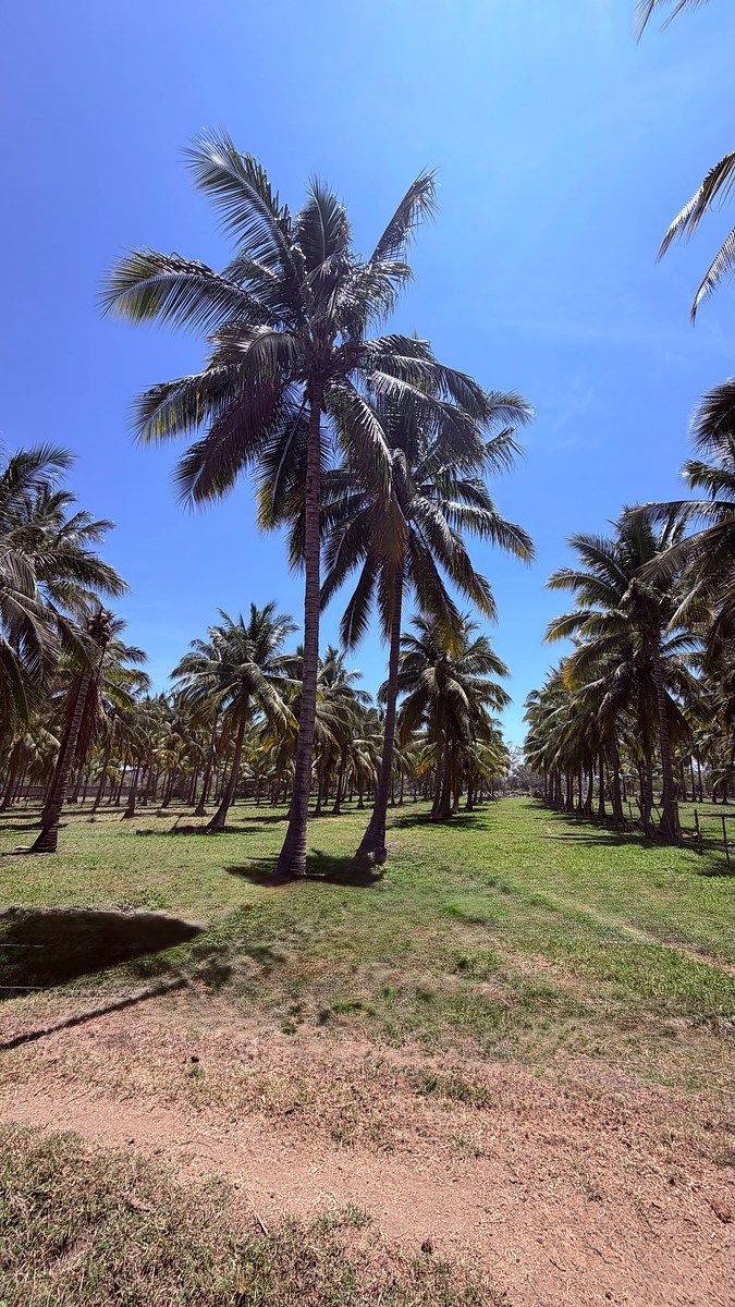 Terreno en Camichines 2, Coquimatlán, foto 6 de 6
