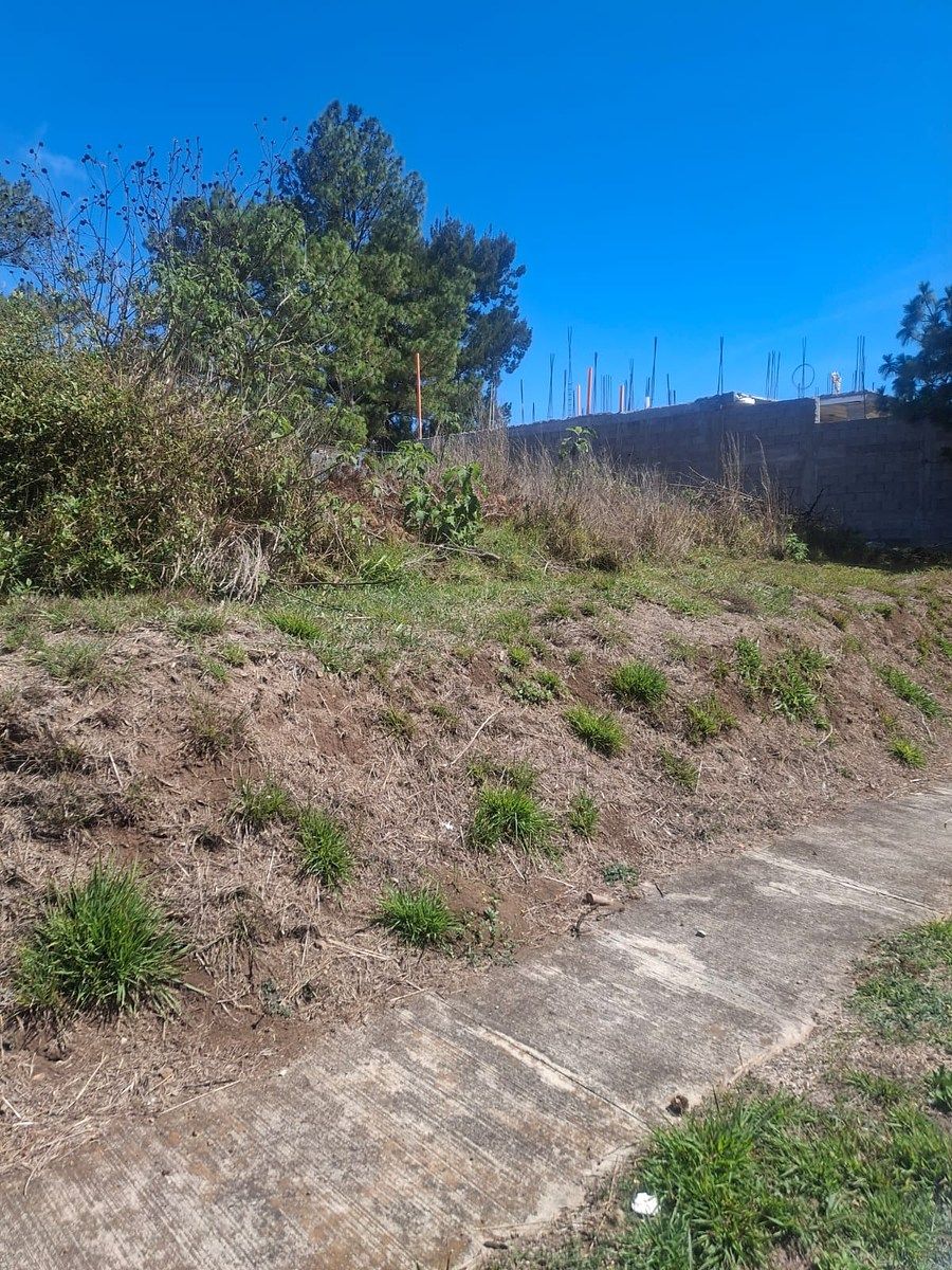 8 de 10