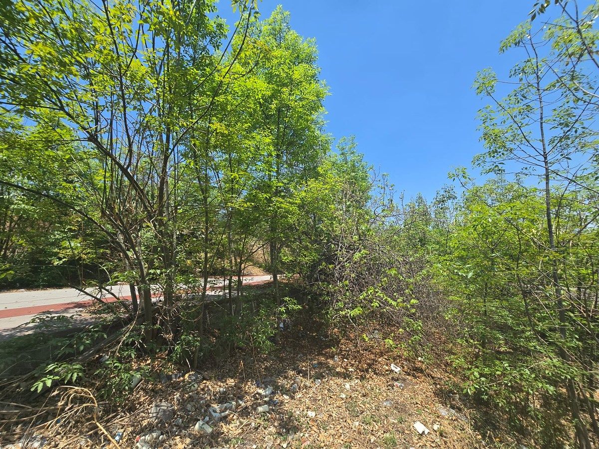 Lote comercial em José Maria Pino Suárez, Álvaro Obregón, foto 6 de 11
