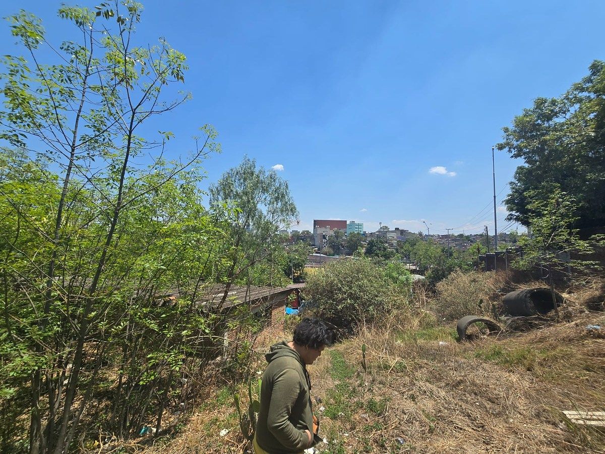 Lote comercial em José Maria Pino Suárez, Álvaro Obregón, foto 7 de 11