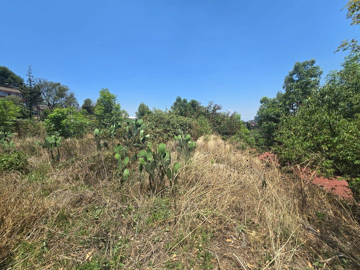 Lote comercial em José Maria Pino Suárez, Álvaro Obregón, foto 9 de 11