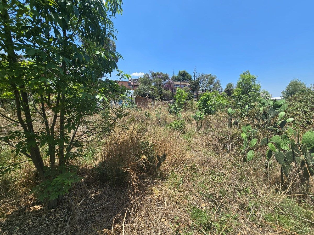 Lote comercial em José Maria Pino Suárez, Álvaro Obregón, foto 11 de 11
