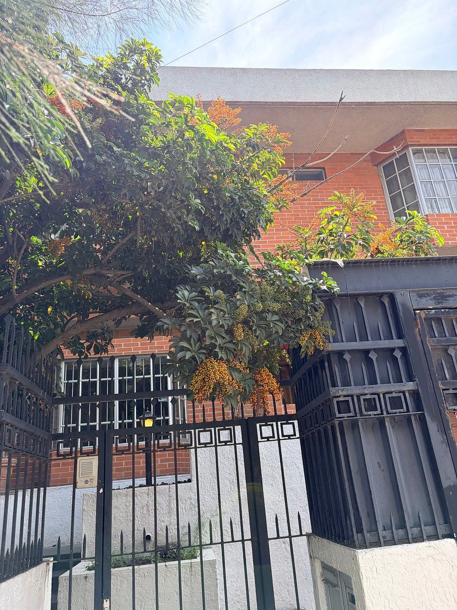 2 de 36: INGRESO PRINCIPAL