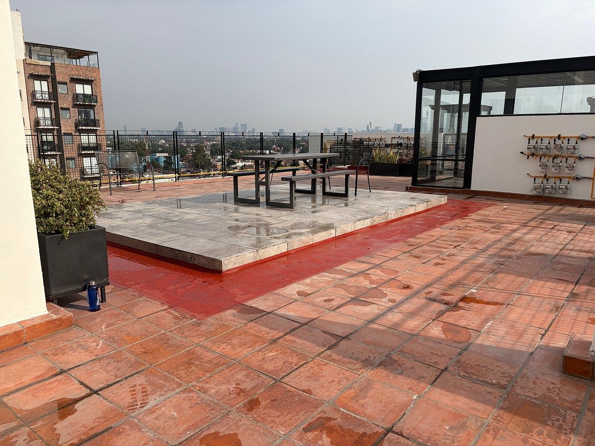 11 de 13: Roof Garden