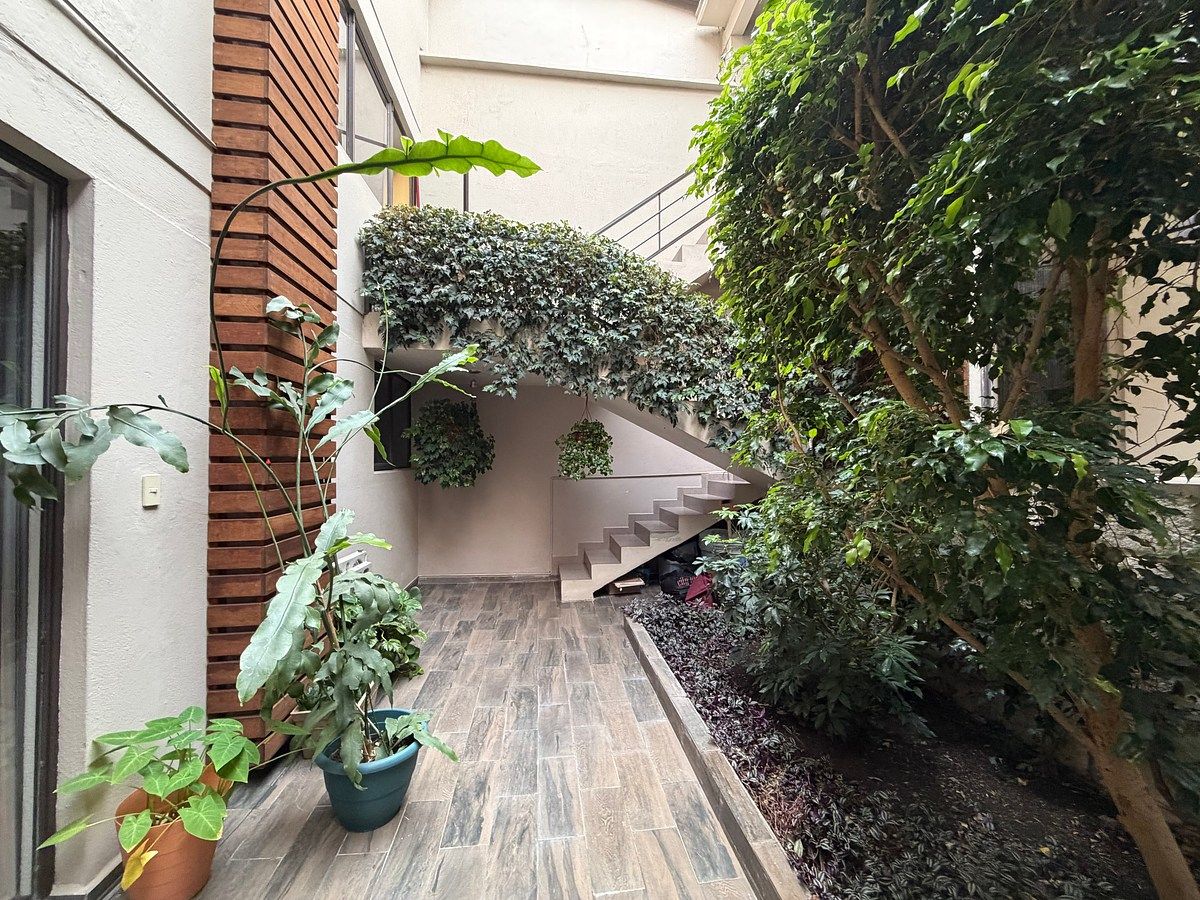 16 de 33: Terraza interior techada