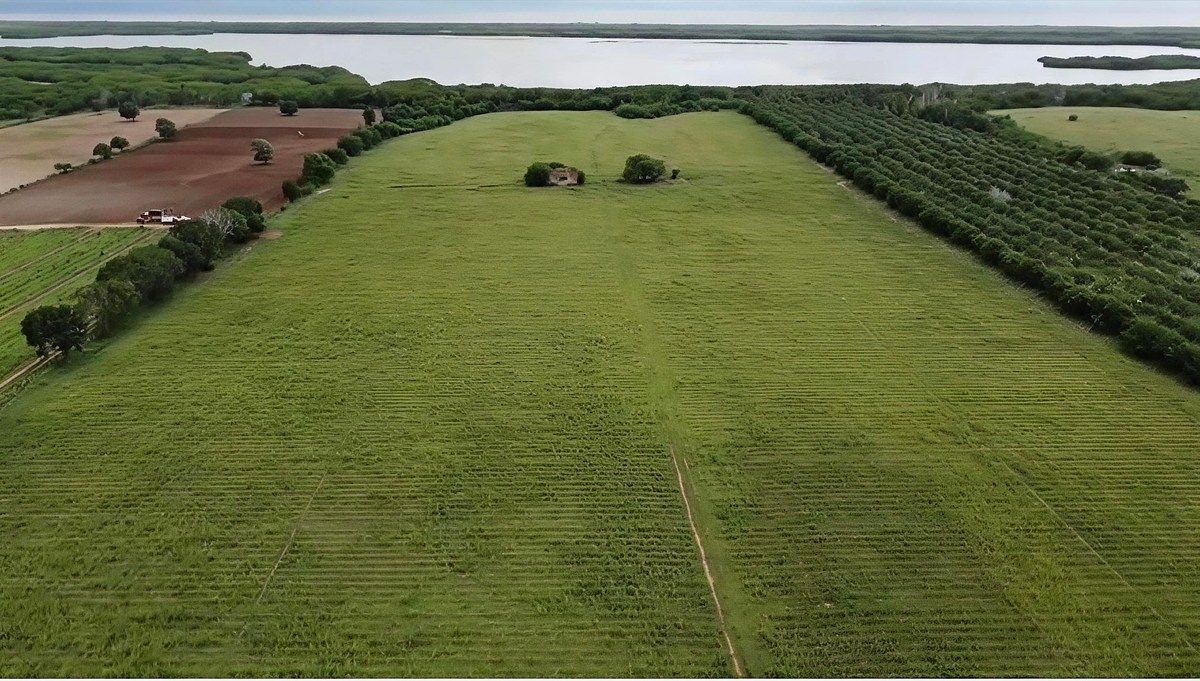 Hectáreas en la Costa Alegre Jalisco