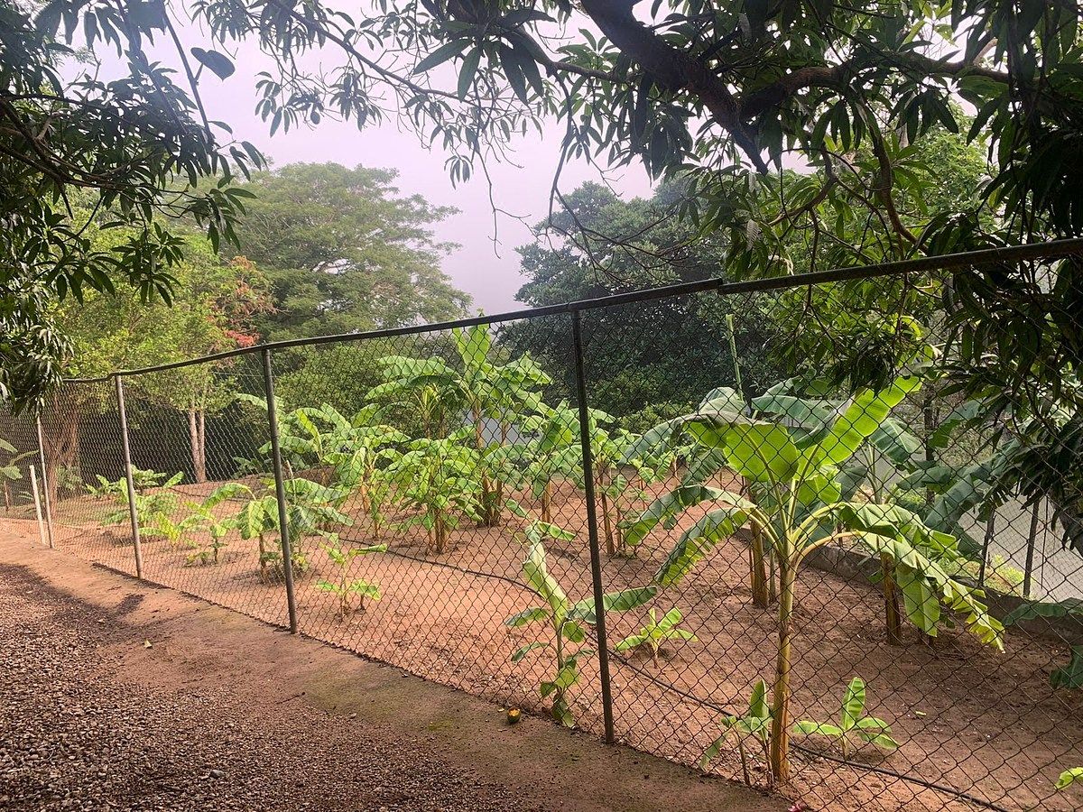 Quinta en América Libre, Chiapa de Corzo, foto 24 de 39