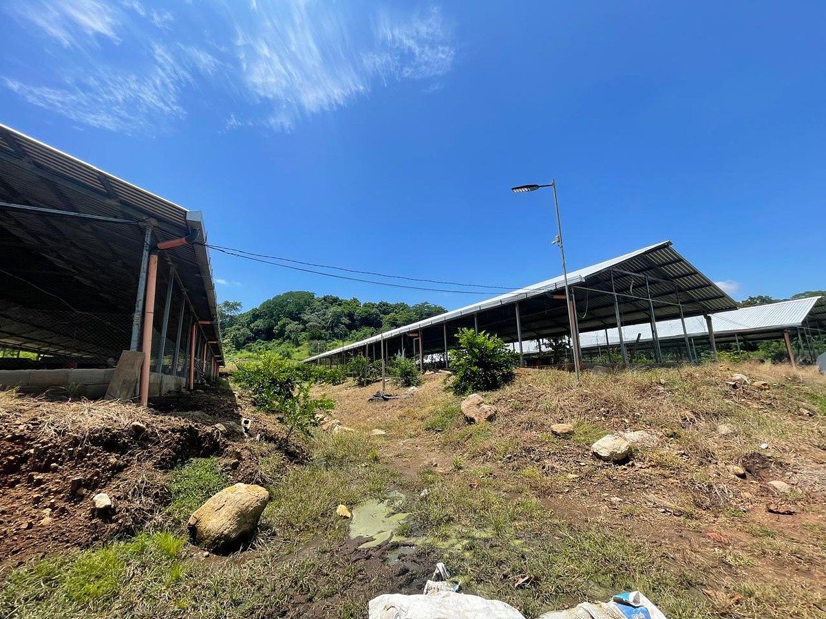 Terreno en Escuintla, Escuintla, foto 6 de 14