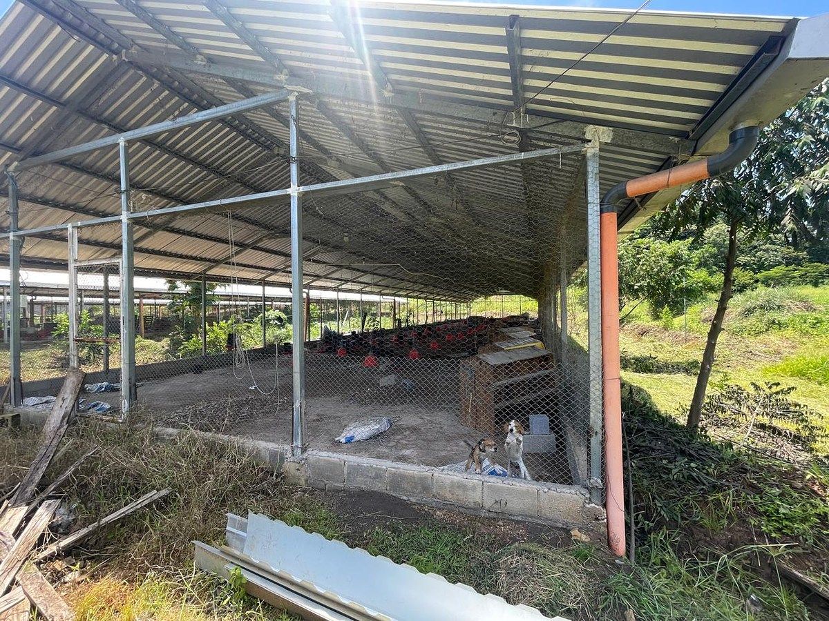 Terreno en Escuintla, Escuintla, foto 7 de 14