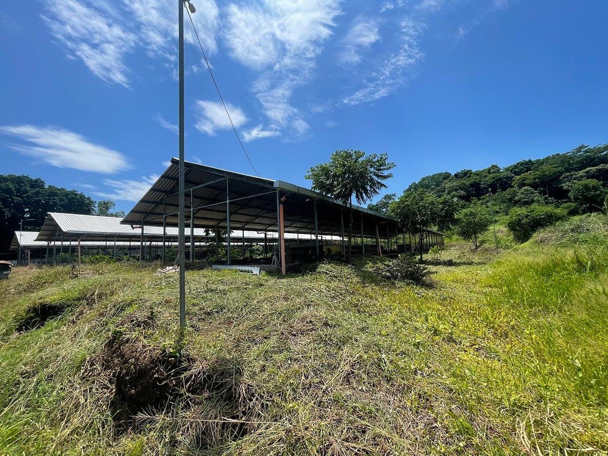 Terreno en Escuintla, Escuintla, foto 8 de 14