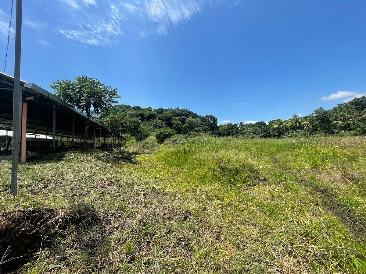 Terreno en Escuintla, Escuintla, foto 9 de 14