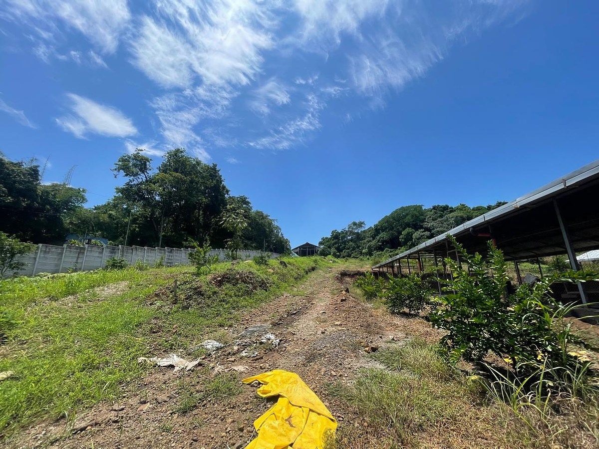 Terreno en Escuintla, Escuintla, foto 10 de 14