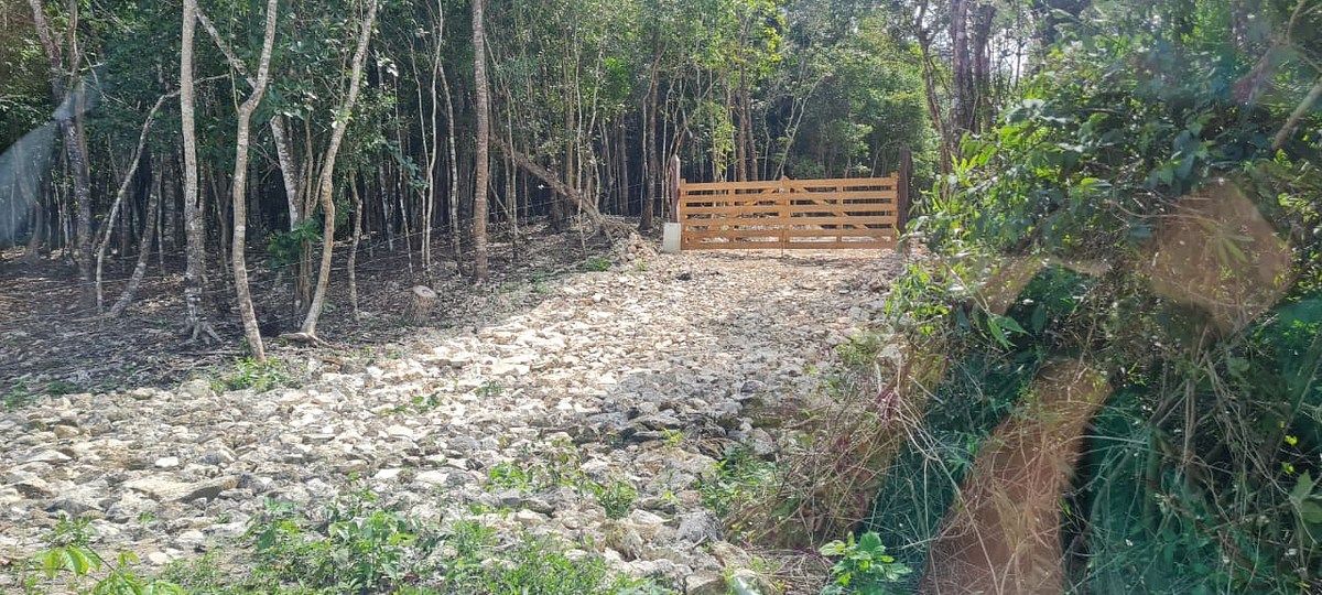 Lot in Akumal, Tulum, photo 9 of 13