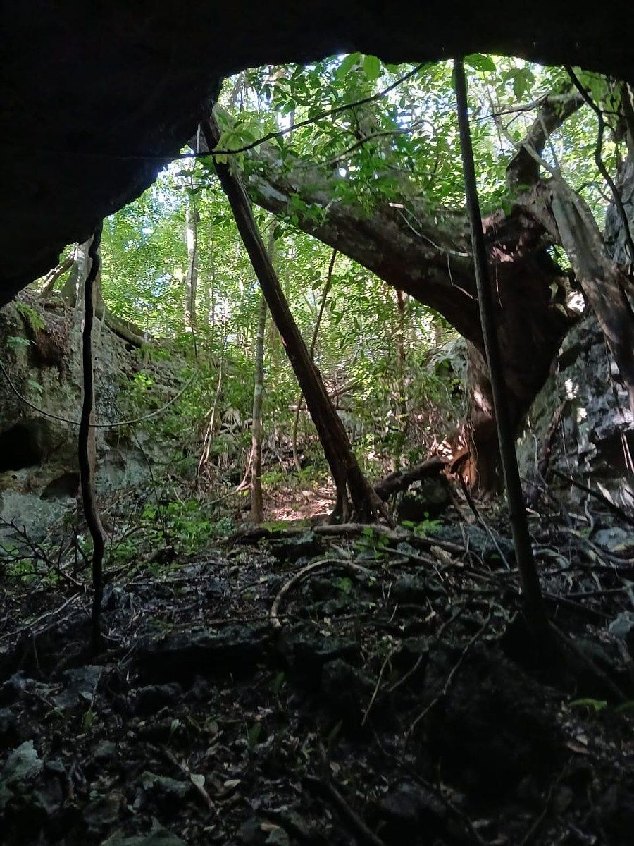 Lot in Akumal, Tulum, photo 13 of 13