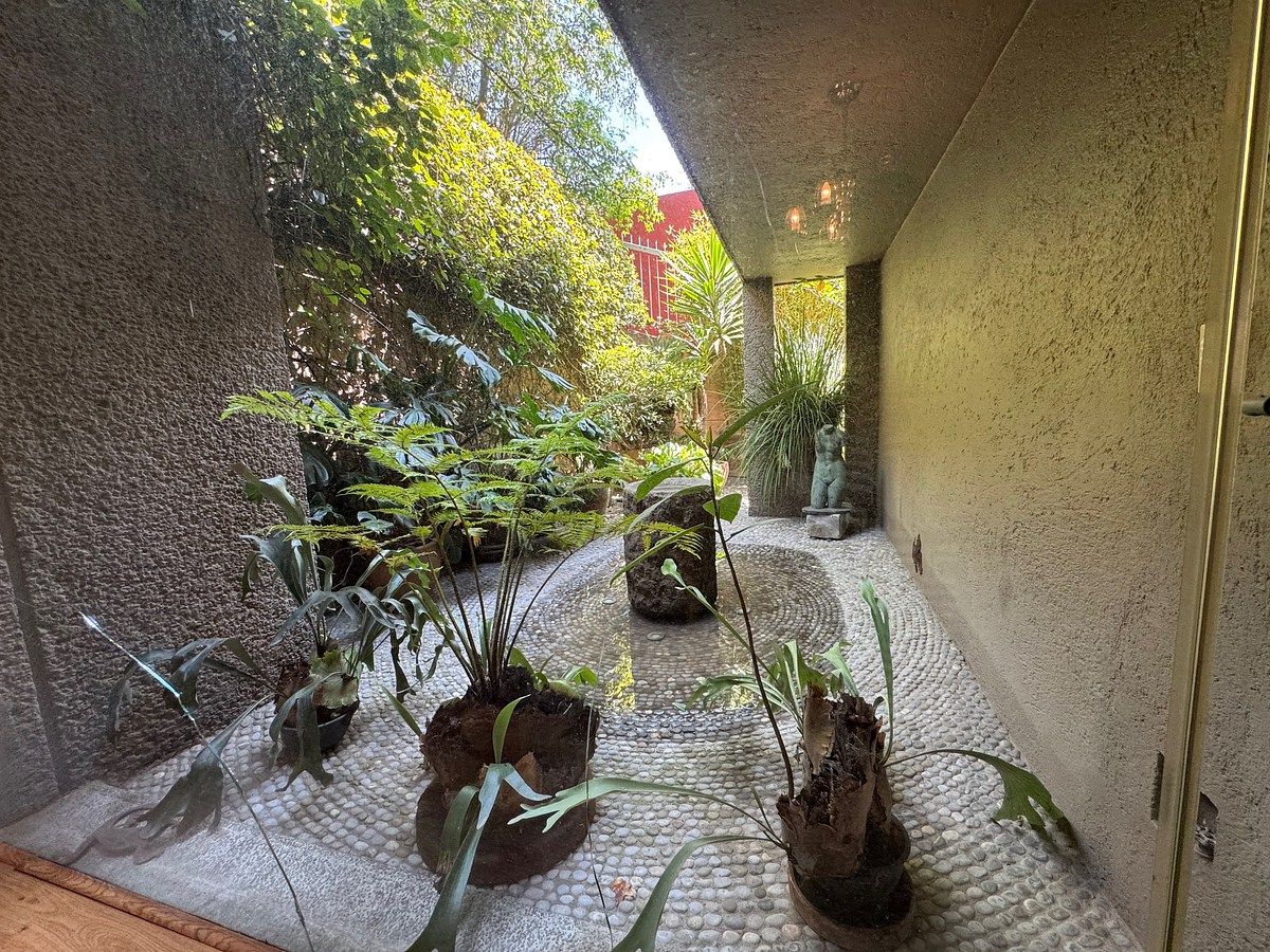 3 de 19: terraza interior con fuente al lado del comedor