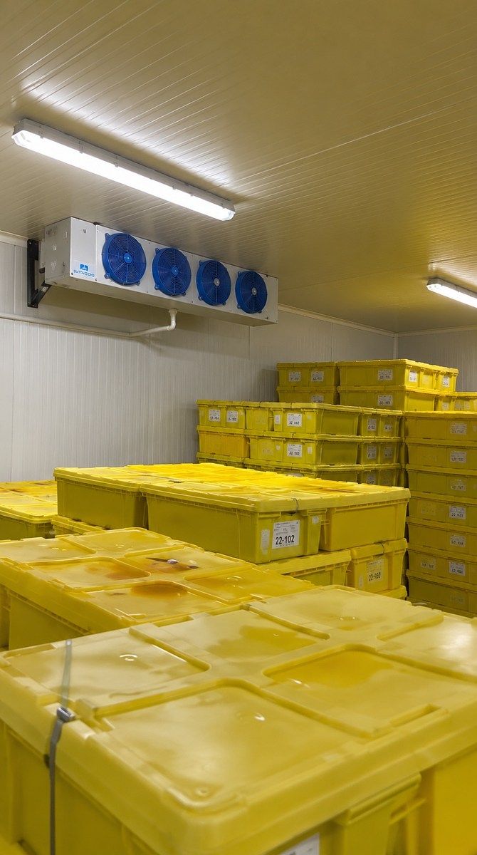 Bodega comercial en Isaac Arriaga, Morelia, foto 6 de 12