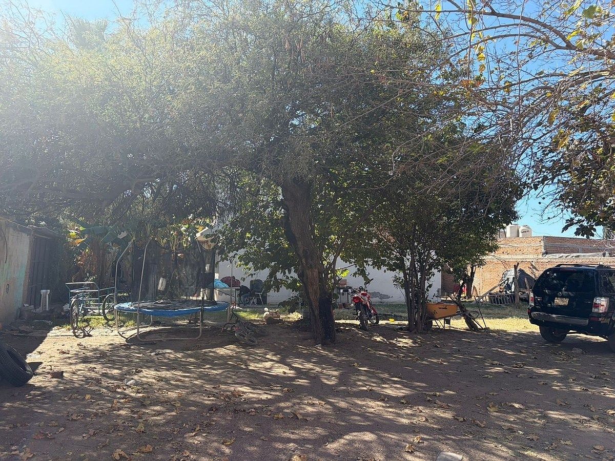 6 de 12
