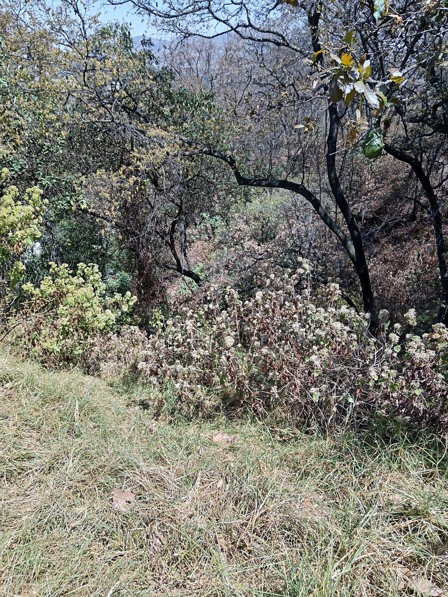 Terreno en Condado de Sayavedra, Atizapán de Zaragoza, foto 8 de 15