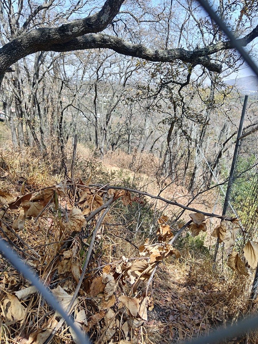 Terreno en Condado de Sayavedra, Atizapán de Zaragoza, foto 13 de 15