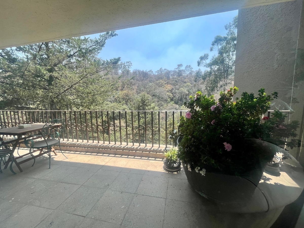 2 de 33: Terraza