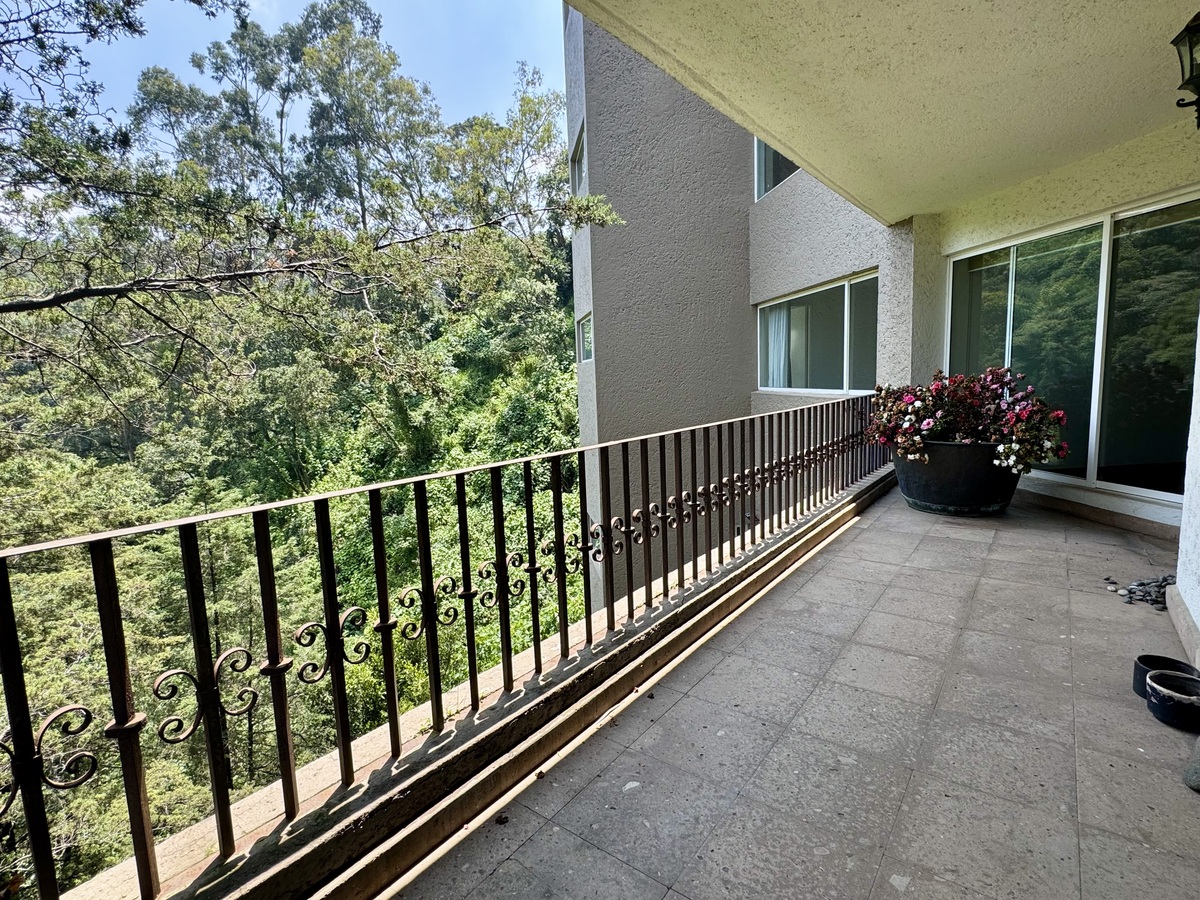 1 de 33: Terraza 1