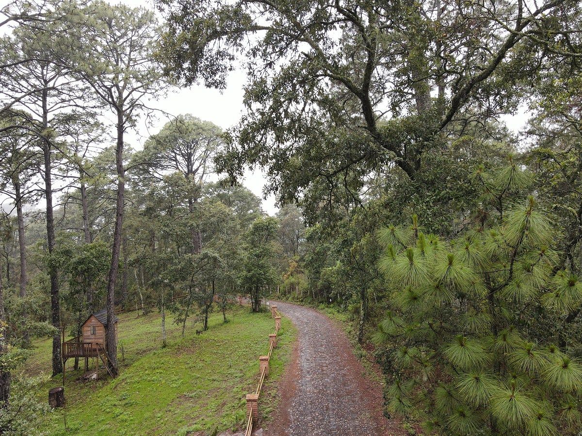 House in Gated Community in Tapalpa, Tapalpa, photo 41 of 42