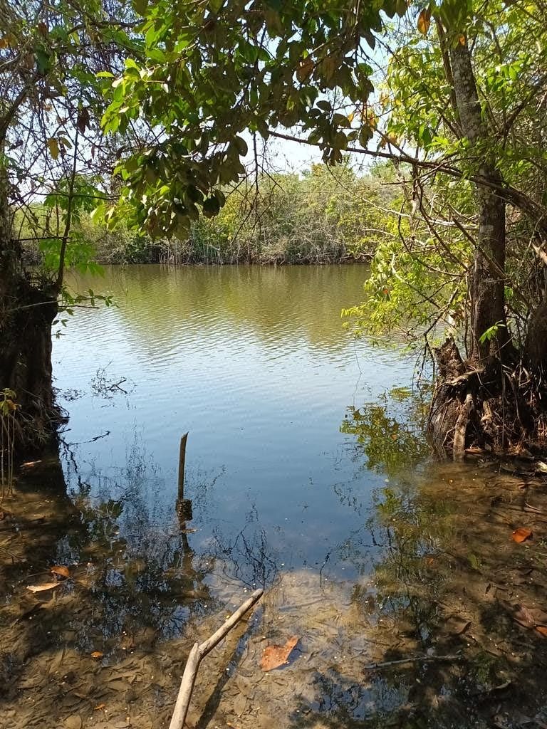 Finca en San Andrés, foto 8 de 10