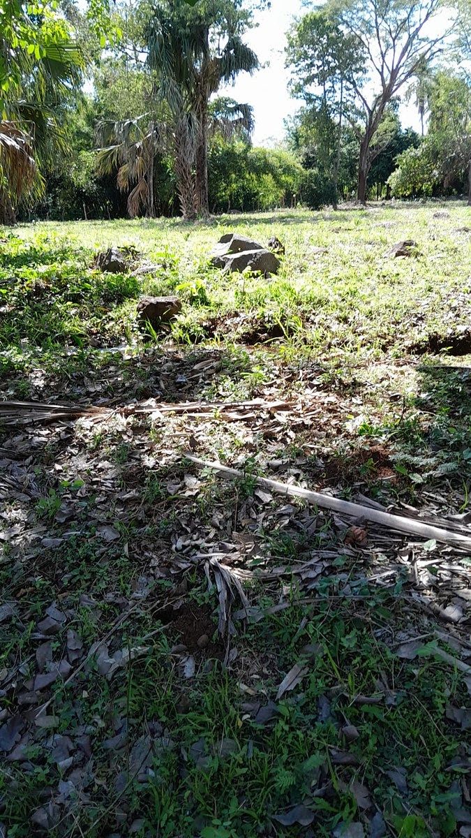 Finca en San Andrés, foto 9 de 10