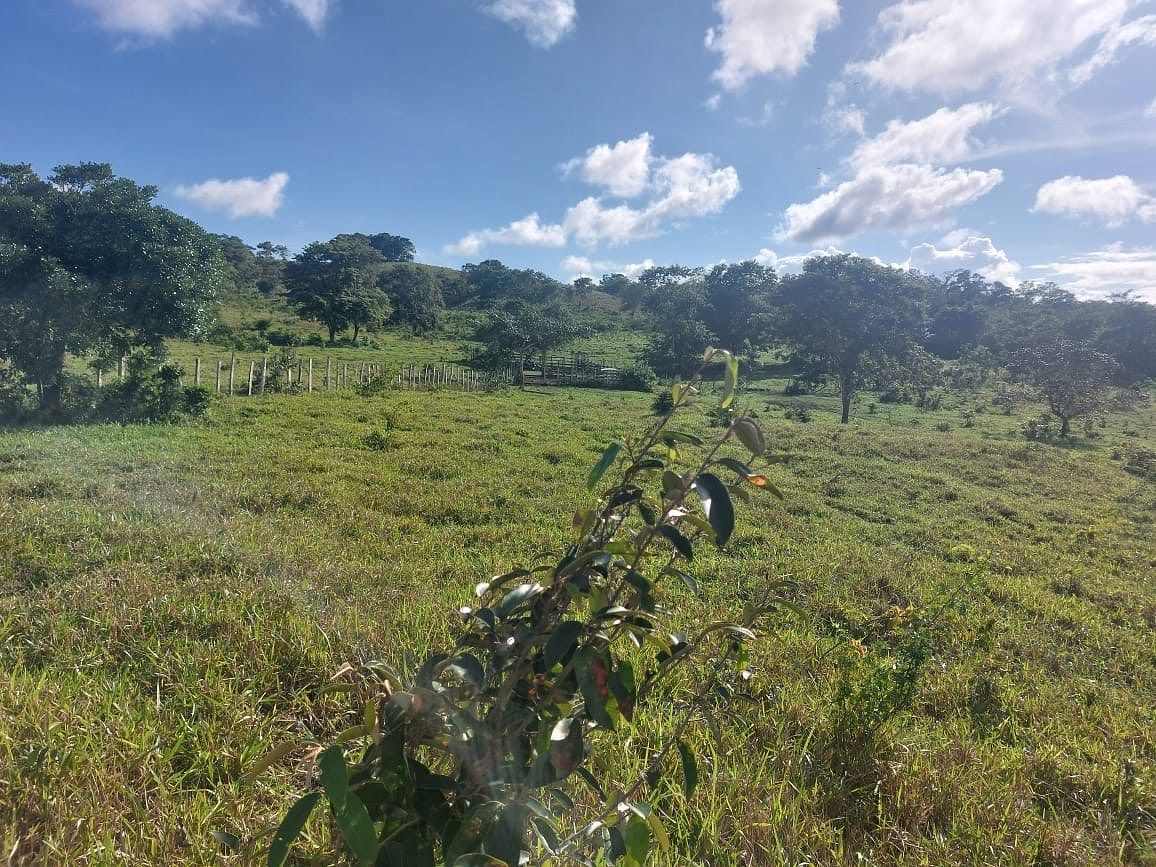 Finca en San Andrés, foto 2 de 12