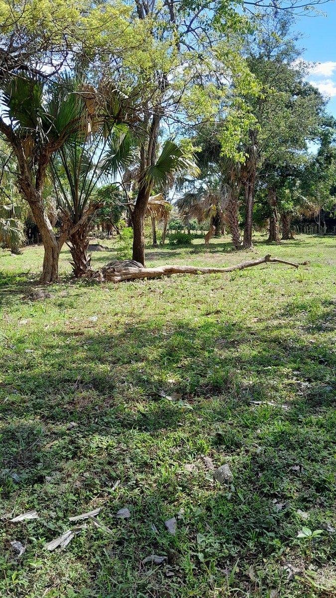 Finca en San Andrés, foto 3 de 12
