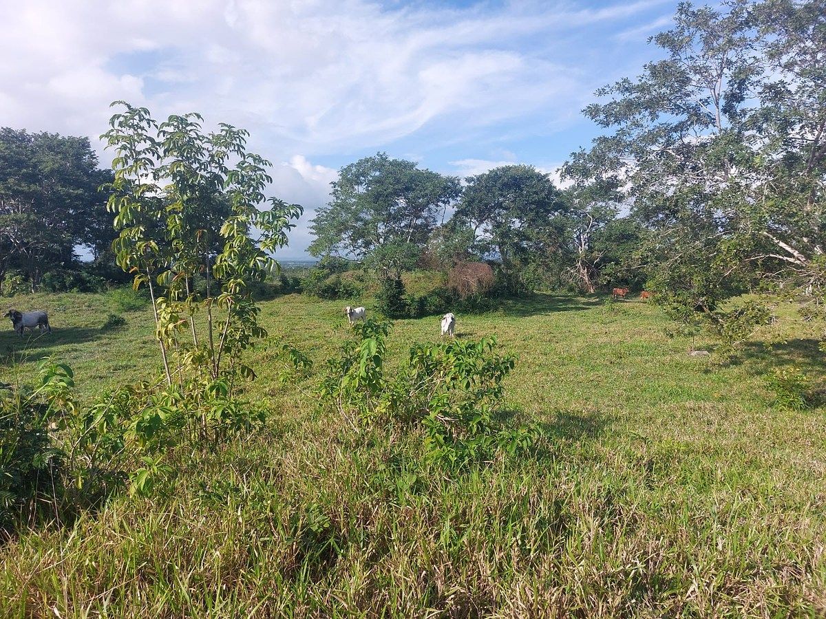 Finca en San Andrés, foto 6 de 12