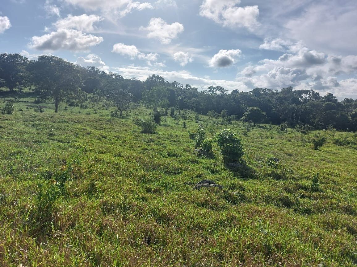 Finca en San Andrés, foto 9 de 12