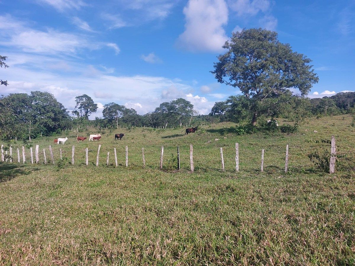 Finca en San Andrés, foto 11 de 12