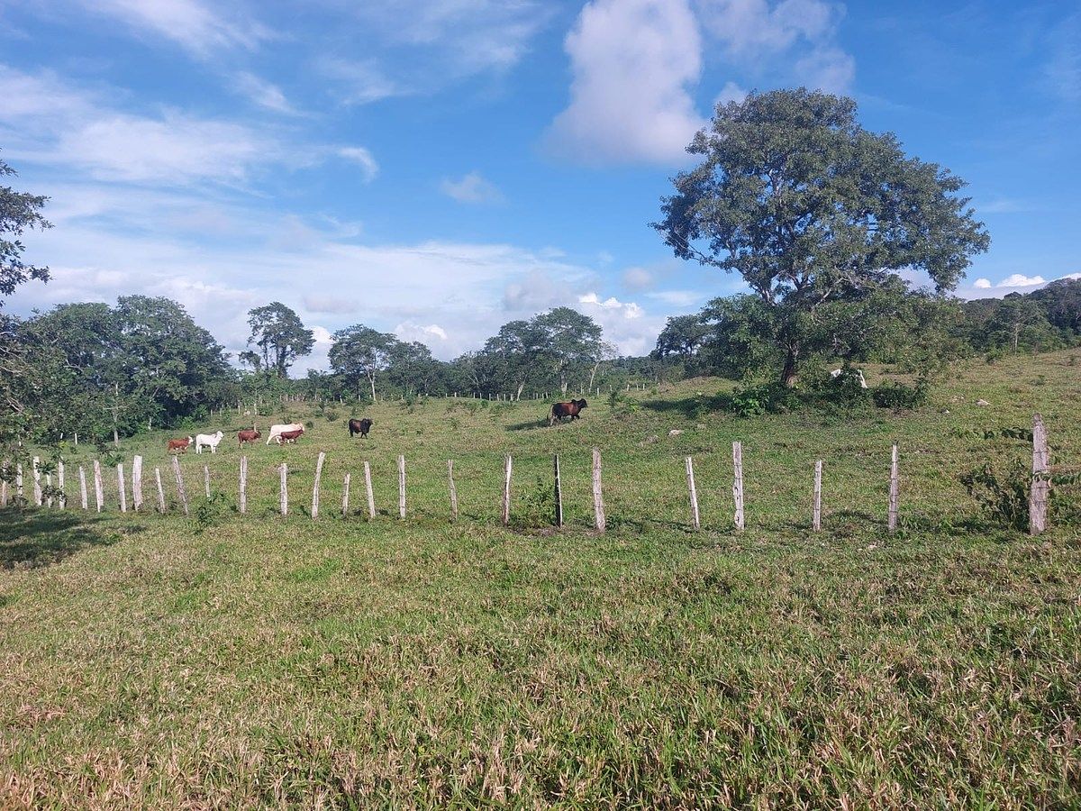 Finca en San Andrés, foto 12 de 12