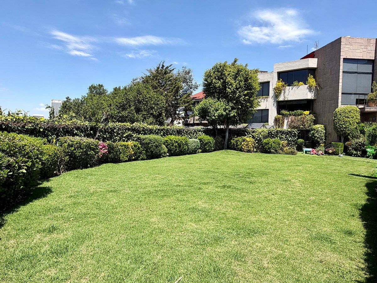 27 de 29: Jardín común