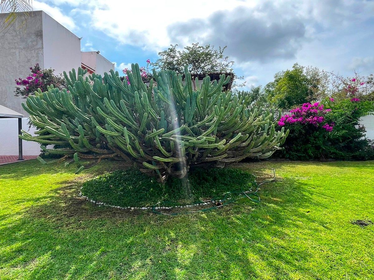 Casa en La Cañada Juriquilla, Querétaro, foto 14 de 20