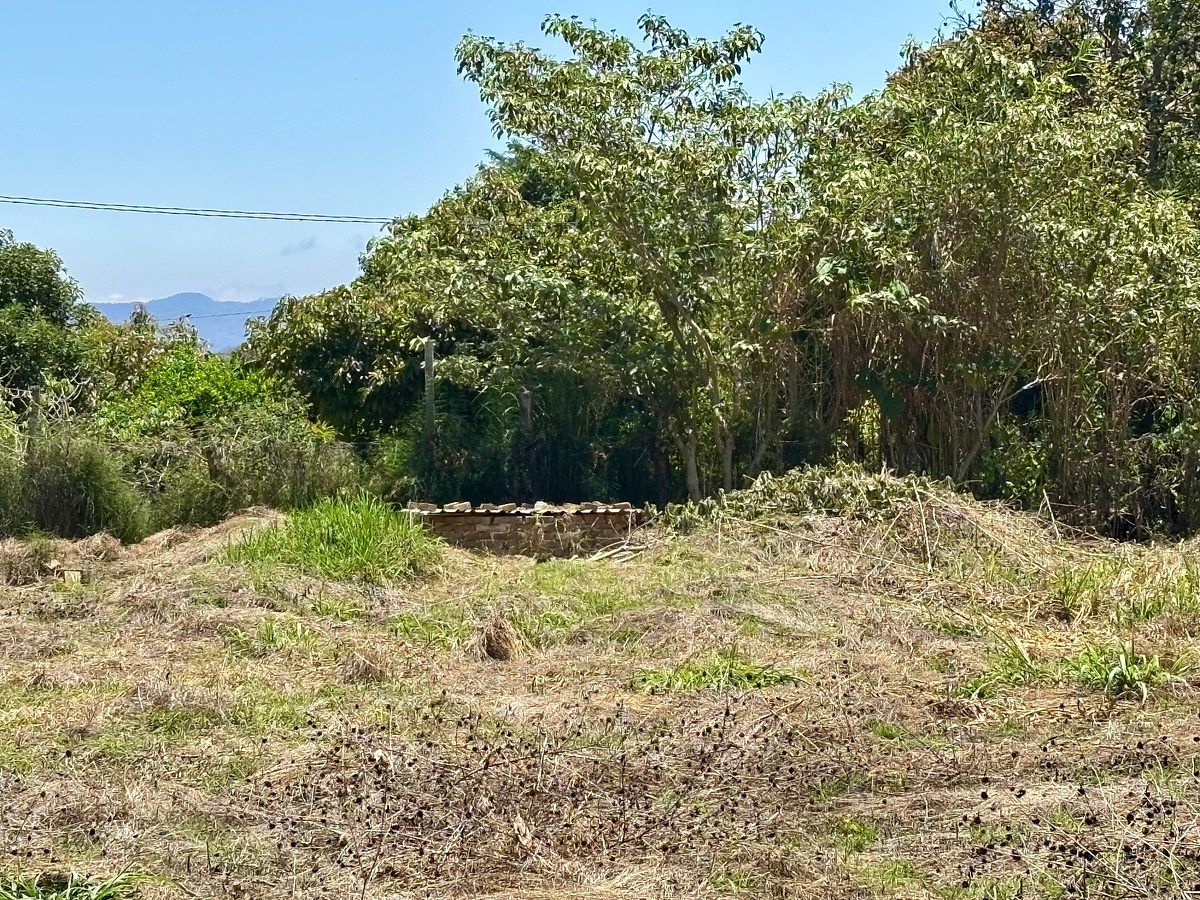 6 of 6: Pozo en el inmueble