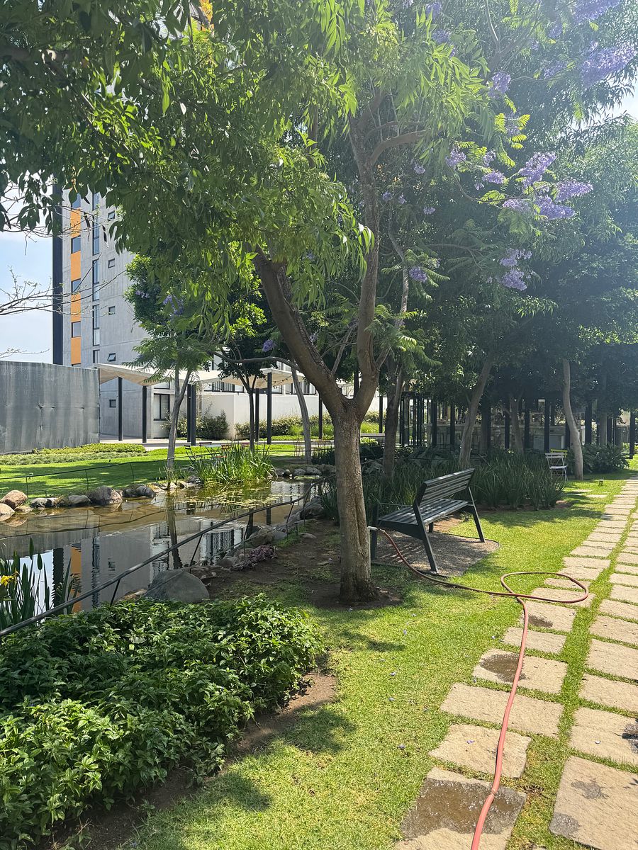 6 de 11: Lago central