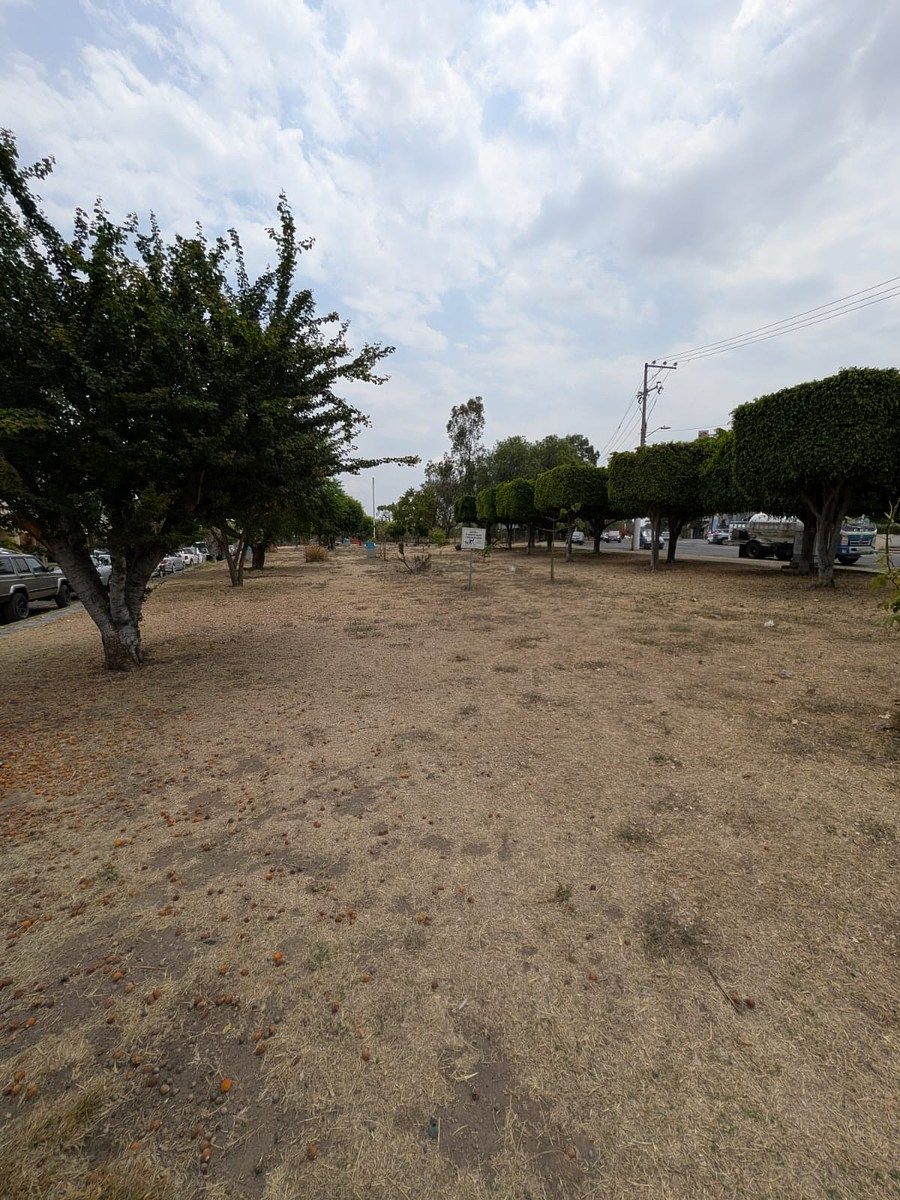 6 de 15: Otra área recreativa