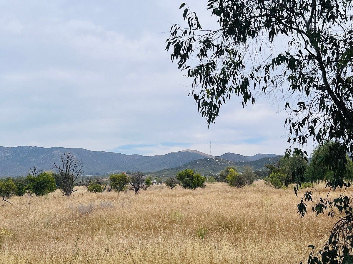 Terreno en Valle de Guadalupe en Venta con Financiamiento