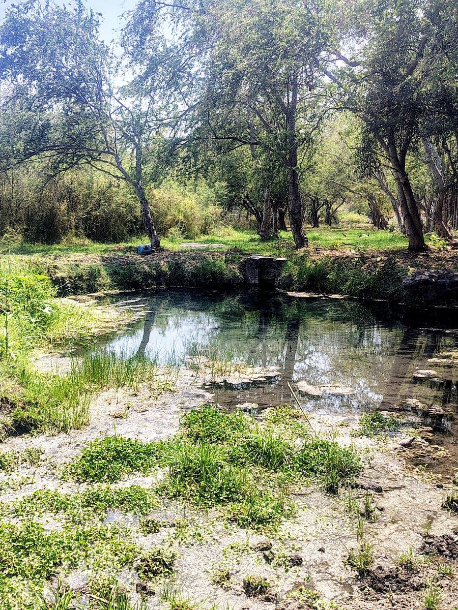 Terreno en Oacalco, Yautepec, foto 2 de 49