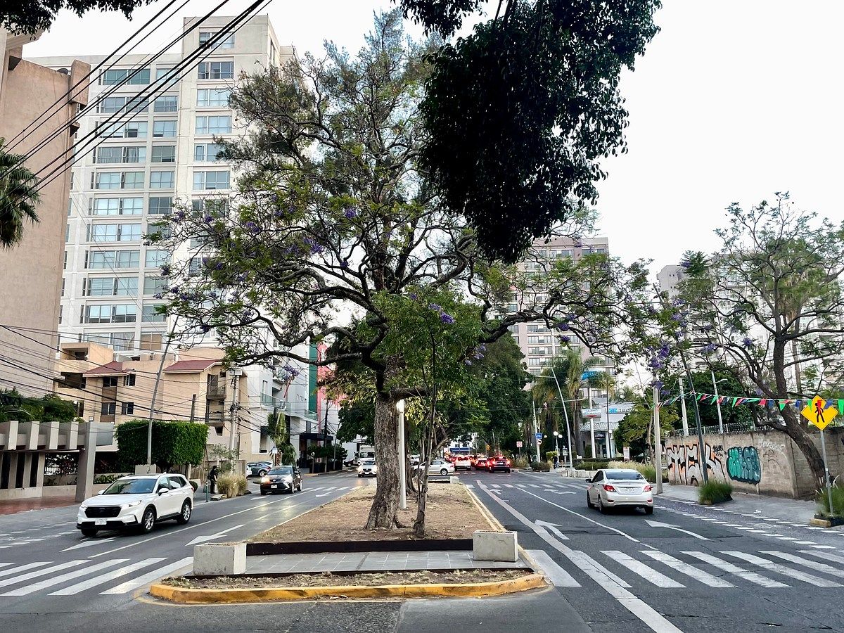 Lote comercial em Vallarta San Jorge, Guadalajara, foto 8 de 23