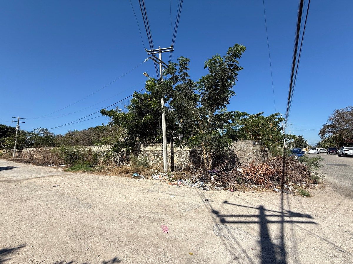 TERRENO EN VENTA UBICADO EN EL ROBLE AGRÍCOLA - foto 1